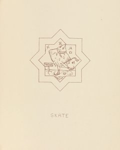 Skate, 1878